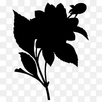 ����ֲ���ͼЬ�����-������