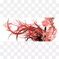 桌面壁纸摄影.单色-空若网 桌面壁纸摄影.单色-空若网