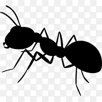 剪贴画昆虫卡通线膜-空若网 剪贴画昆虫卡通线膜-空若网