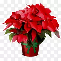 ����һ����ֲ�����ÿ�����ܰ����ֲ��-������