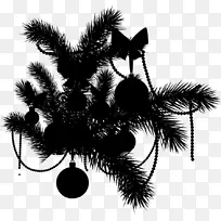 桌面壁纸昆虫电脑棕榈树膜-空若网 桌面壁纸昆虫电脑棕榈树膜-空若网