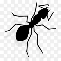 蚂蚁昆虫剪贴画图片-空若网 蚂蚁昆虫剪贴画图片-空若网