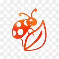 剪贴画昆虫插图产品文本-空若网 剪贴画昆虫插图产品文本-空若网