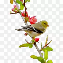 ��𿪻�ֲ��������ݺֲ��-������