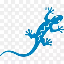 蓝蜥蜴澳大利亚防晒霜敏感标志-空若网 蓝蜥蜴澳大利亚防晒霜敏感标志-空若网