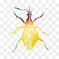 ���洫��Ĥ-������