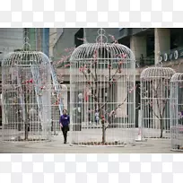 鸟笼安装艺术-鸟笼-空若网 鸟笼安装艺术-鸟笼-空若网