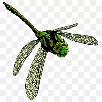 ·þ×°Åä¼þʱÉÐÀ¥³æÄ¤.òßòѲåͼ-¿ÕÈôÍø ·þ×°Åä¼þʱÉÐÀ¥³æÄ¤.òßòѲåͼ-¿ÕÈôÍø