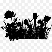 草花博客,人类之春-空若网 草花博客,人类之春-空若网