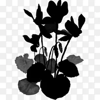 叶植物茎轮廓开花植物-空若网 叶植物茎轮廓开花植物-空若网