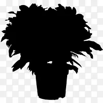 海角茉莉花室内植物栀子花-空若网 海角茉莉花室内植物栀子花-空若网