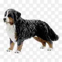 伯恩塞山犬培育出更大的瑞士山犬芭比姐妹浪骑喷气滑雪板-空若网 伯恩塞山犬培育出更大的瑞士山犬芭比姐妹浪骑喷气滑雪板-空若网