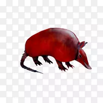 电脑老鼠动物陆生动物鼻子-空若网 电脑老鼠动物陆生动物鼻子-空若网