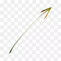 Ҷ�߽�ֲ�ﾥ����-������