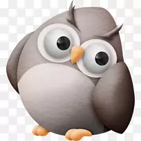 猫头鹰图像绘制动画-猫头鹰-空若网 猫头鹰图像绘制动画-猫头鹰-空若网