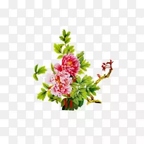 花型花束牡丹切花-空若网 花型花束牡丹切花-空若网