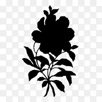 开花植物茎叶轮廓-空若网 开花植物茎叶轮廓-空若网