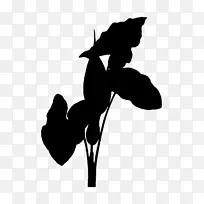 ����������Ӱh&m����ֲ��-������