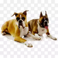 ����ֳȭ���ֻ�鹷����-������