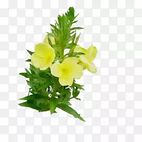 �󻨵��¼��ݻ����л�-������