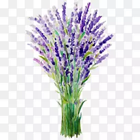 英国薰衣草法国薰衣草植物茎切花草-空若网 英国薰衣草法国薰衣草植物茎切花草-空若网