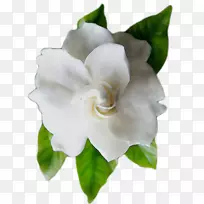 ������-������