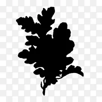 ��������ӰҶ����ֲ��-������