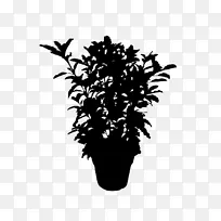 开花植物剪影叶植物-空若网 开花植物剪影叶植物-空若网