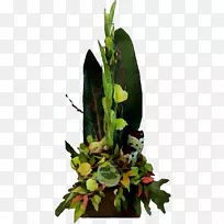 ��������л�����Ҷ-������