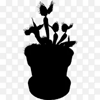 ����ֲ���������Ӱ��-������