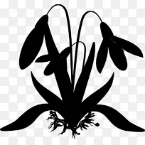 蝴蝶花夹艺术昆虫图案-空若网 蝴蝶花夹艺术昆虫图案-空若网