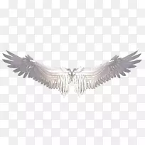 剪贴画图像png图片.偏差图-空若网 剪贴画图像png图片.偏差图-空若网