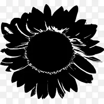 剪贴画图片花卉照片博客-空若网 剪贴画图片花卉照片博客-空若网