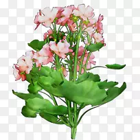 花卉设计切花花束植物茎-空若网 花卉设计切花花束植物茎-空若网