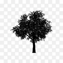 ˹�����������������������Ӱ-������