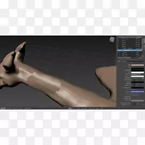 手臂手指手桌面壁纸.阴影-空若网 手臂手指手桌面壁纸.阴影-空若网
