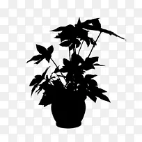 开花植物剪影叶植物-空若网 开花植物剪影叶植物-空若网