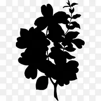 开花植物剪影字体叶-空若网 开花植物剪影字体叶-空若网