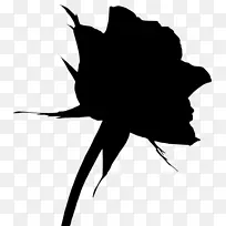 蝴蝶花夹艺术昆虫叶-空若网 蝴蝶花夹艺术昆虫叶-空若网