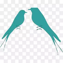 鹦鹉灰头爱鸟剪贴画鹦鹉麻雀符号-空若网 鹦鹉灰头爱鸟剪贴画鹦鹉麻雀符号-空若网