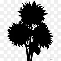 开花植物剪影叶植物-空若网 开花植物剪影叶植物-空若网