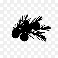 桌面壁纸电脑字体剪影昆虫-空若网 桌面壁纸电脑字体剪影昆虫-空若网