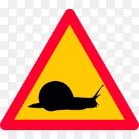 ������ͨ��־�����־-������