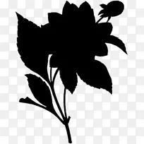 ����ֲ��ĵ����԰õ�廨��-������