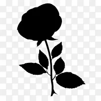 剪裁艺术剪叶植物茎开花植物-空若网 剪裁艺术剪叶植物茎开花植物-空若网