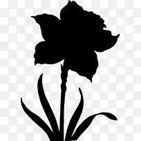 剪裁艺术剪叶植物茎开花植物-空若网 剪裁艺术剪叶植物茎开花植物-空若网