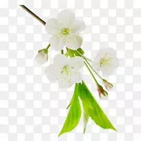 ʥ.au.150����v.unc.nr��ӣ���л�����-������