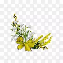 花卉设计切花开花植物-空若网 花卉设计切花开花植物-空若网