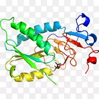 �������ߵ��Ʒ�л���-AQA����-������