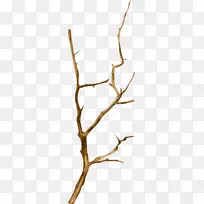 Mari Cruz vg小枝电子邮件给漂流木徽章-空若网 Mari Cruz vg小枝电子邮件给漂流木徽章-空若网